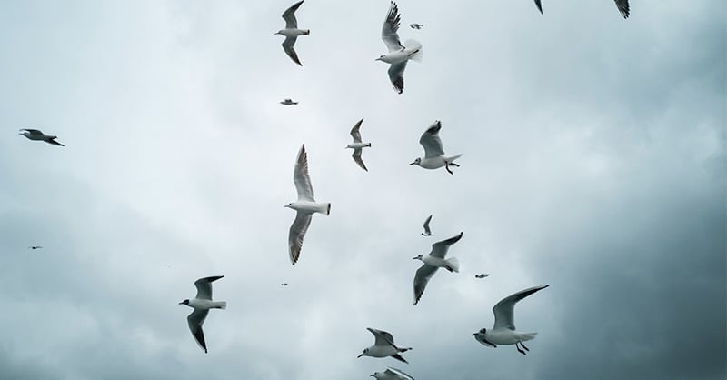 Migración de ERP: cómo afrontarla con garantías