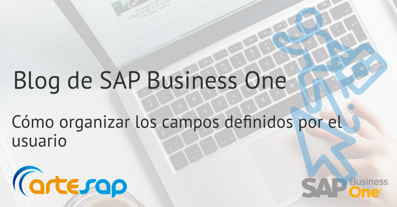 Aprende a organizar los campos definidos por el usuario en SAP Business One